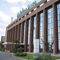 Hotel Palace Rome Fiano